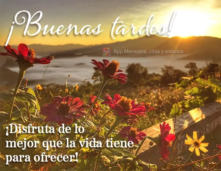 Aproveite o que a vida tem de melhor para oferecer! Boa tarde!