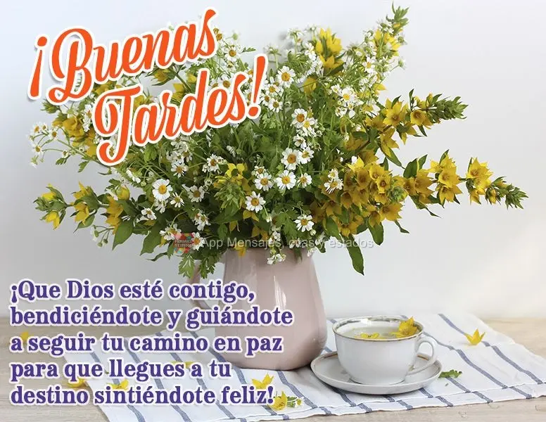 Que Deus esteja com você, te abençoando e te guiando para que siga seu caminho em paz e chegue ao seu destino se sentindo feliz! Boa tarde!