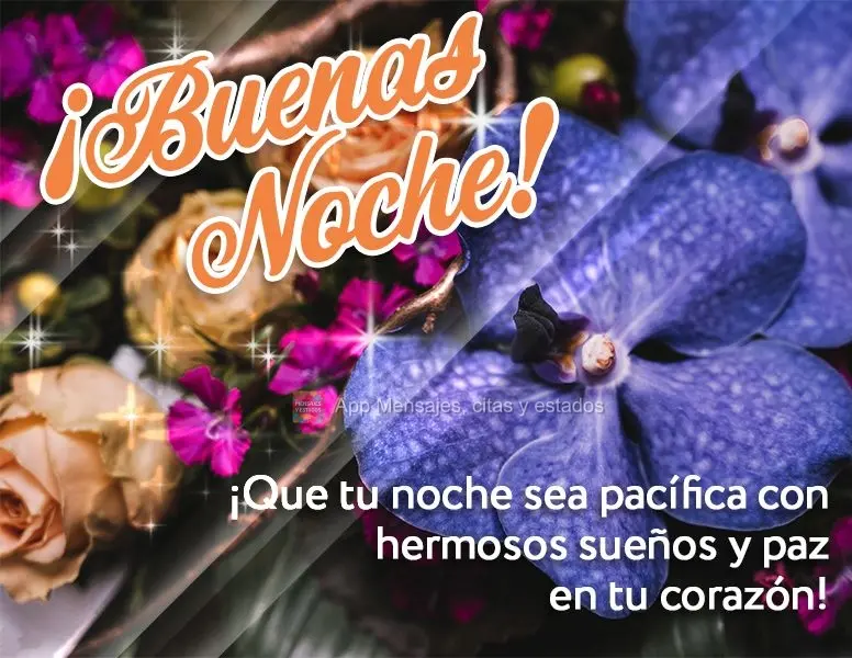 Que sua noite seja tranquila com lindos sonhos e muita paz em seu coração! Boa noite!