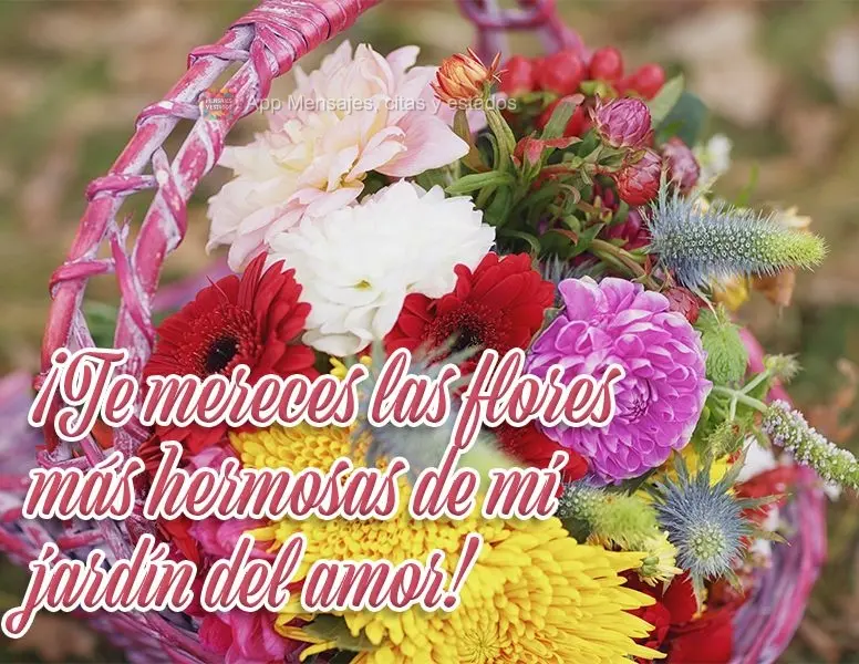 ¡Te mereces las flores más hermosas de mi jardín del amor!