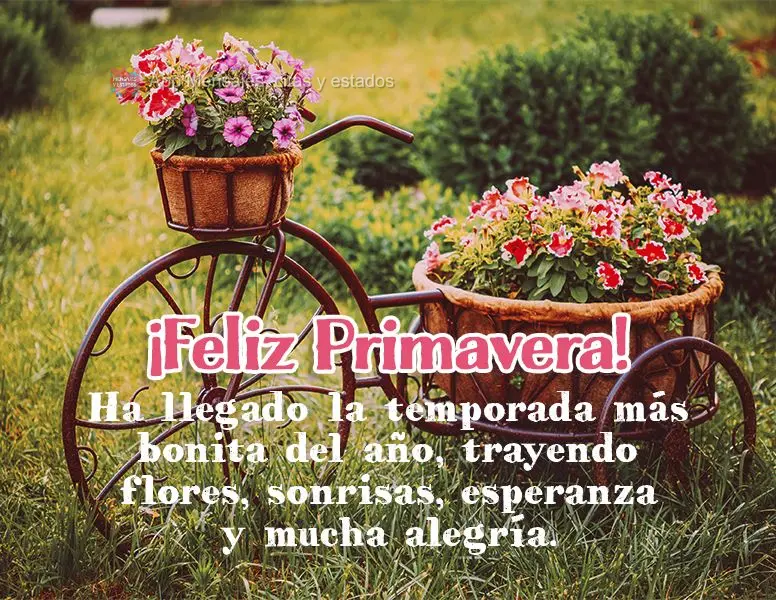 A estação do ano mais linda chegou trazendo flores, sorrisos, esperança e muita alegria. Feliz Primavera!