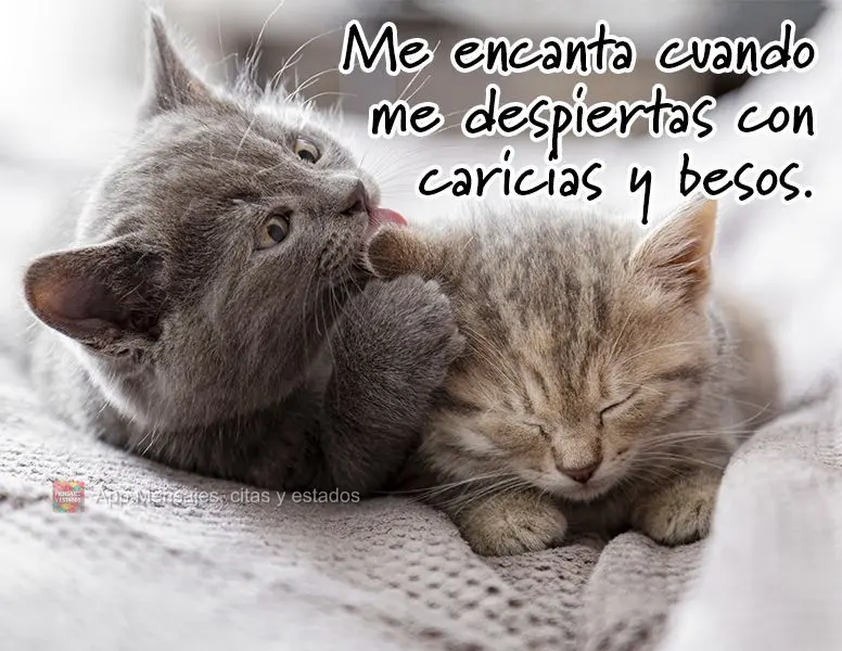 Me encanta cuando me despiertas con caricias y besos.