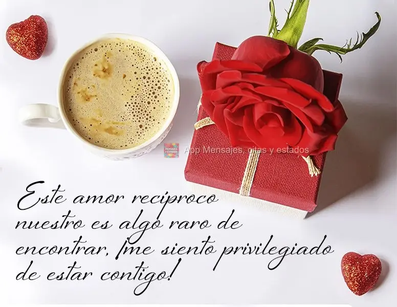 Este amor recíproco nuestro es algo raro de encontrar, ¡me siento privilegiado de estar contigo!
