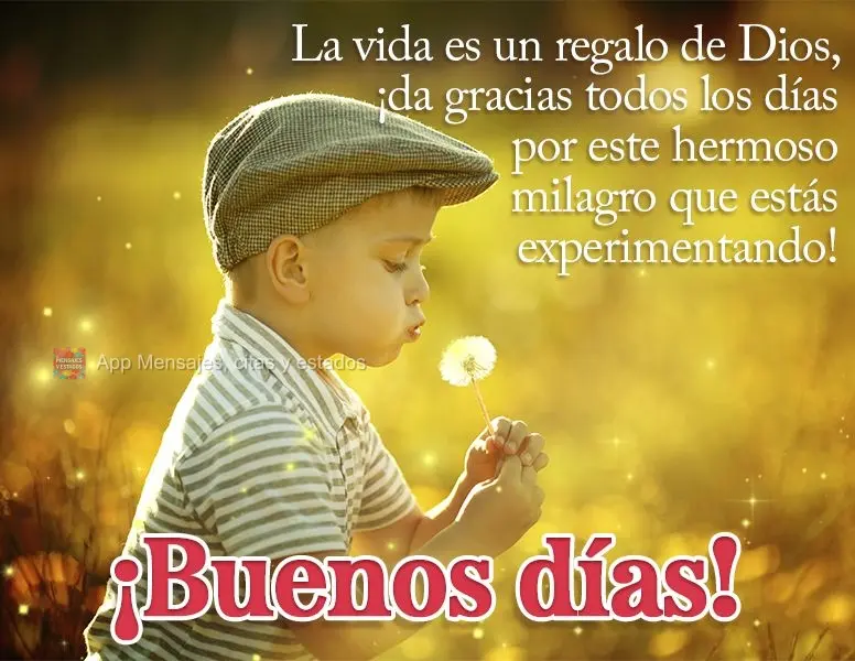 La vida es un regalo de Dios, ¡da gracias todos los días por este hermoso milagro que estás experimentando! ¡Buenos días!