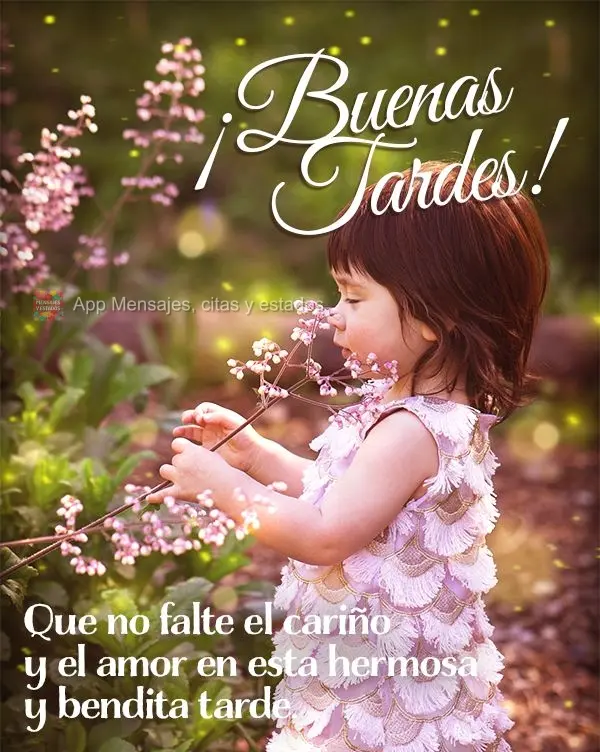 Que o afeto e amor não lhe falte nesta linda e abençoada tarde. Boa tarde!