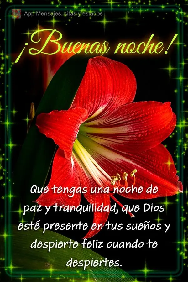 Que você possa ter uma noite de paz e tranquilidade, que em seus sonhos Deus esteja presente e ao acordar você desperte contente. Boa noite!