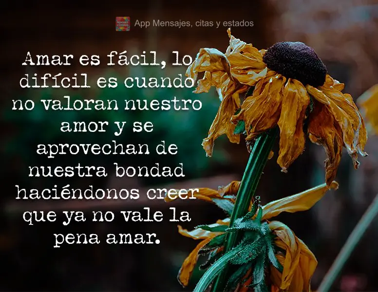 Amar es fácil, lo difícil es cuando no valoran nuestro amor y se aprovechan de nuestra bondad haciéndonos creer que ya no vale la pena amar.