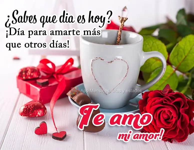 ¿Sabes que dia es hoy? ¡Día para amarte más que otros días! ¡Te amo mi amor!