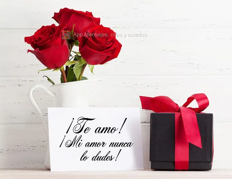 Eu amo você, meu amor. Nunca duvide disso!