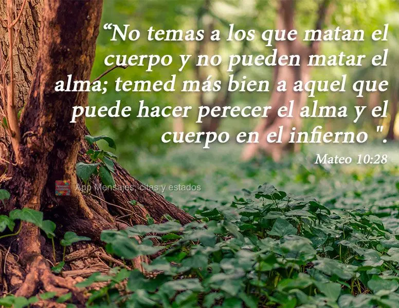 “Não temais os que matam o corpo e não podem matar a alma; temei antes aquele que pode fazer perecer no inferno a alma e o corpo.” Mateus 10:28