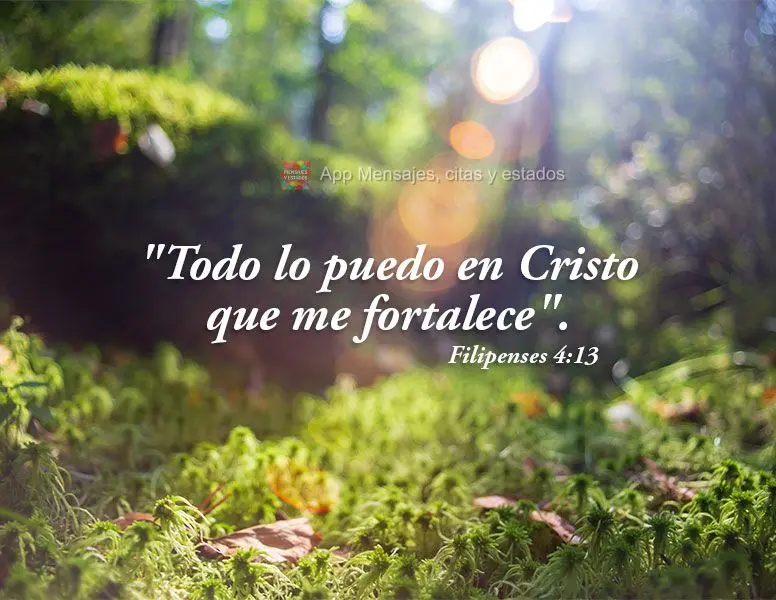 "Todo lo puedo en Cristo que me fortalece". Filipenses 4:13