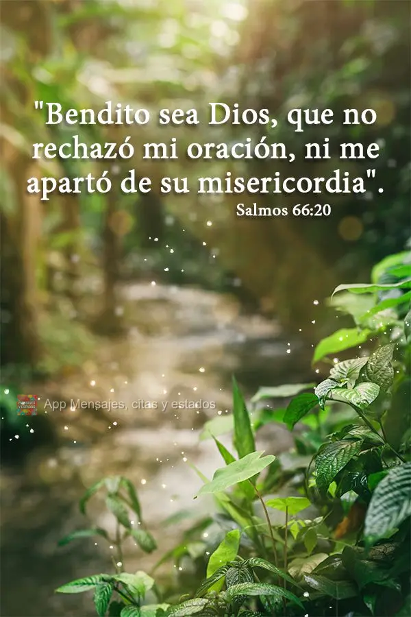 "Bendito sea Dios, que no rechazó mi oración, ni me apartó de su misericordia". Salmos 66:20