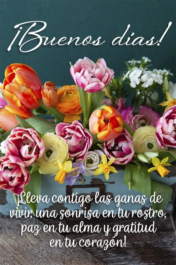 Carregue com você a vontade de viver, um sorriso no rosto, paz na alma e gratidão no coração! Bom dia!