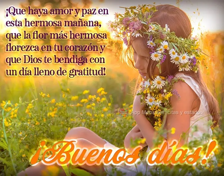 Que haja amor e paz nesta linda manhã, que a flor mais bela floresça em seu coração e que Deus possa te abençoar com um dia cheio de gratidão! Bom ...