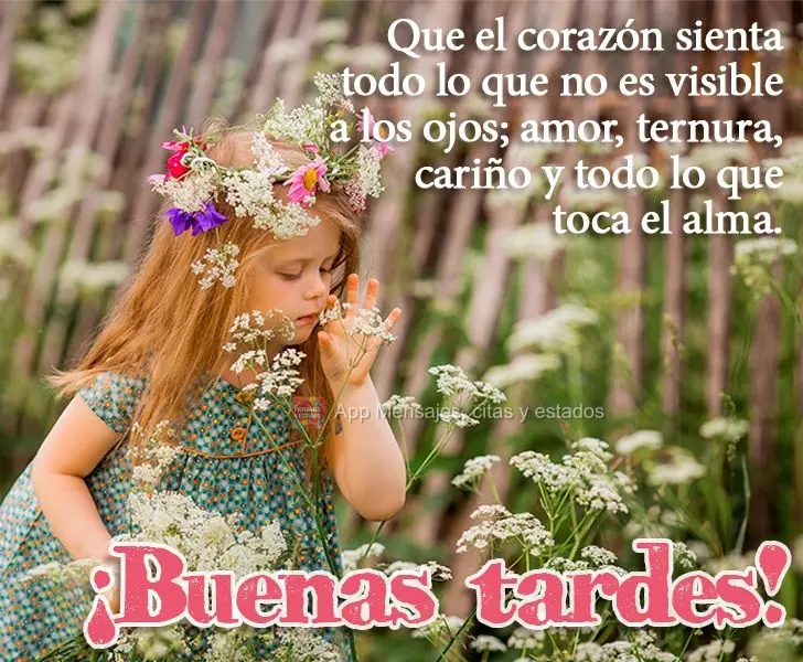 Que o coração possa sentir tudo o que não é visível aos olhos; o amor, ternura, carinho e tudo aquilo que toca a alma. Boa tarde!