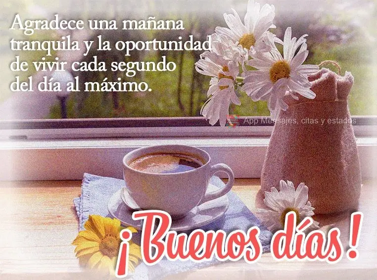 Agradece una mañana tranquila y la oportunidad de vivir cada segundo del día al máximo. ¡Buenos días!