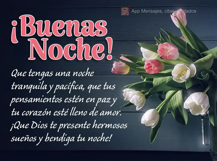 Que tengas una noche tranquila y pacífica, que tus pensamientos estén en paz y tu corazón esté lleno de amor. ¡Que Dios te presente hermosos sueños...