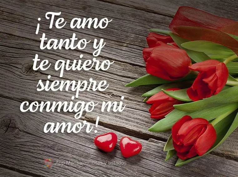 ¡Te amo tanto y te quiero siempre conmigo mi amor!