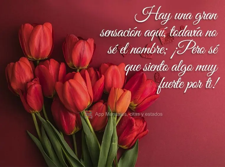 Existe um grande sentimento aqui dentro que eu não sei o nome ainda; mas eu sei que eu sinto algo muito forte por você!