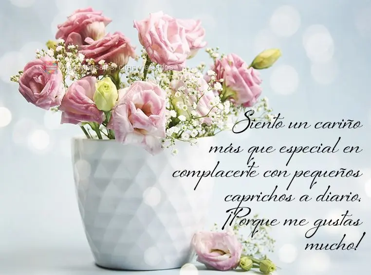 Sinto um carinho mais do que especial em lhe agradar com pequenos mimos diariamente. Porque gosto muito de você!