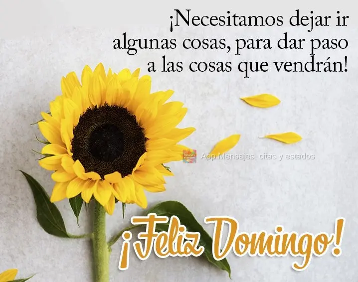 ¡Necesitamos dejar ir algunas cosas, para dar paso a las cosas que vendrán! ¡Feliz Domingo!