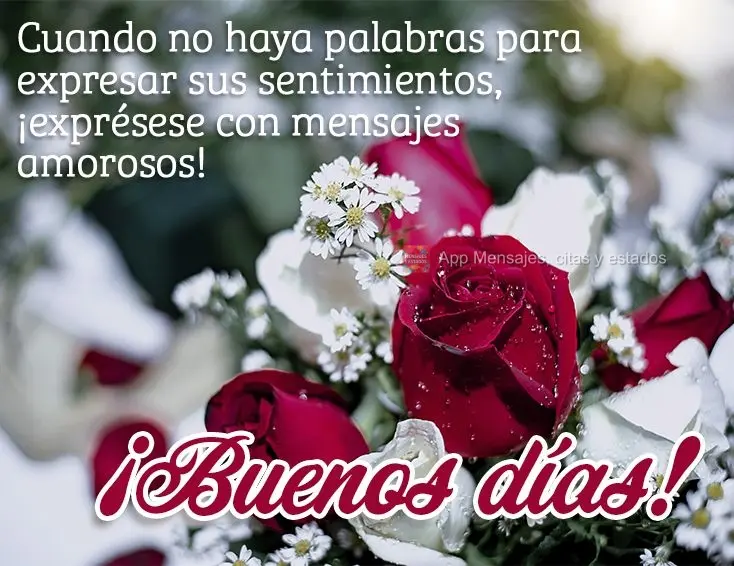 Quando não houver palavras para expressar seus sentimentos, expresse-se com mensagens de carinho! Bom dia!