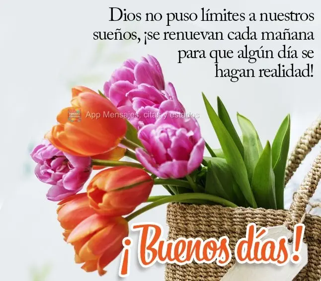 Deus não colocou limites em nossos sonhos, eles se renovam a cada manhã para que um dia possam se tornar realidade! Bom dia!