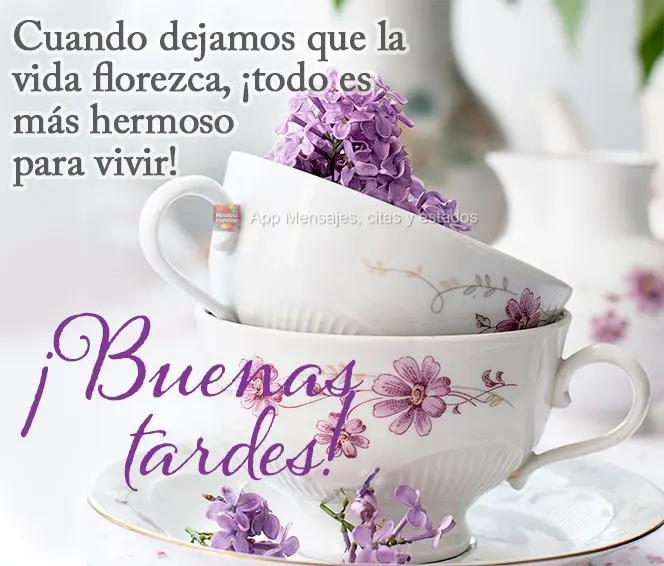 Quando a gente deixa a vida florescer, tudo fica mais bonito de se viver! Boa tarde!