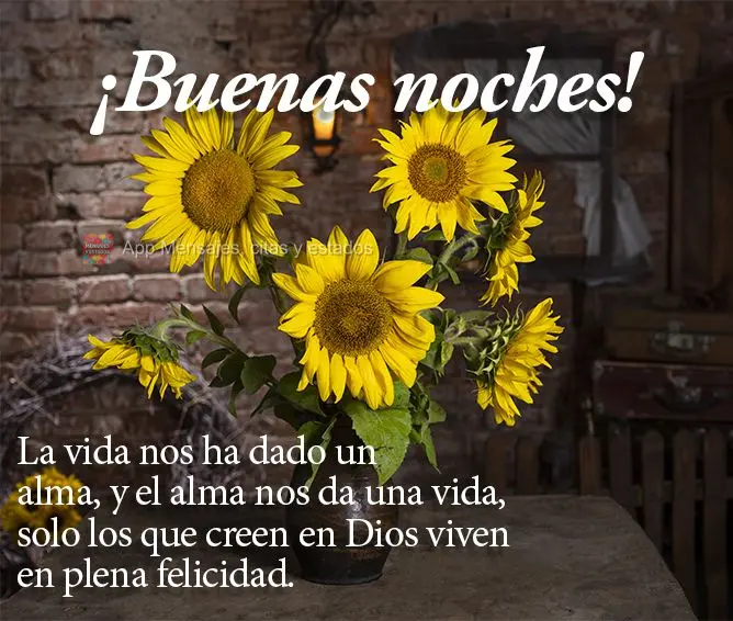 A vida nos deu uma alma, e a alma nos dá uma vida. Só vive em plena felicidade aquele que em Deus acredita. Boa noite!