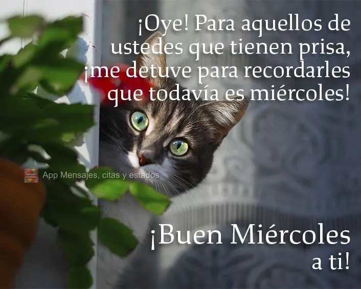Oie! Para você que tá com pressa, passei pra lembrar que ainda é quarta-feira!  Boa Quarta-feira para você!