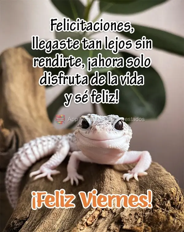 Parabéns, você chegou até aqui sem desistir, agora é só curtir a vida e ser feliz! Feliz Sexta-feira!