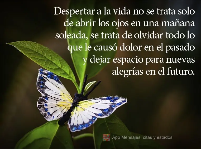 Despertar a la vida no se trata solo de abrir los ojos en una mañana soleada, se trata de olvidar todo lo que le causó dolor en el pasado y dejar espac...