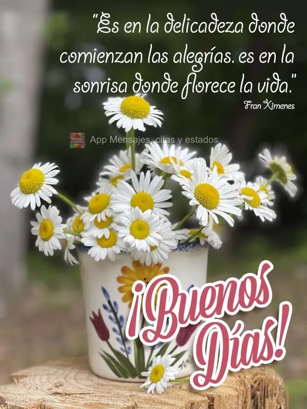 “É na delicadeza que as alegrias começam. É no sorriso que a vida floresce.” Bom dia! Fran Ximenes