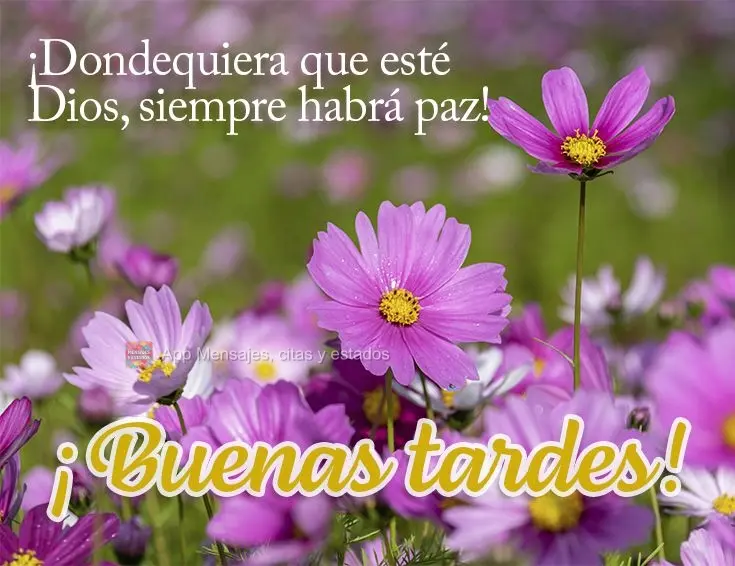 Onde houver Deus, sempre haverá paz! Boa tarde!