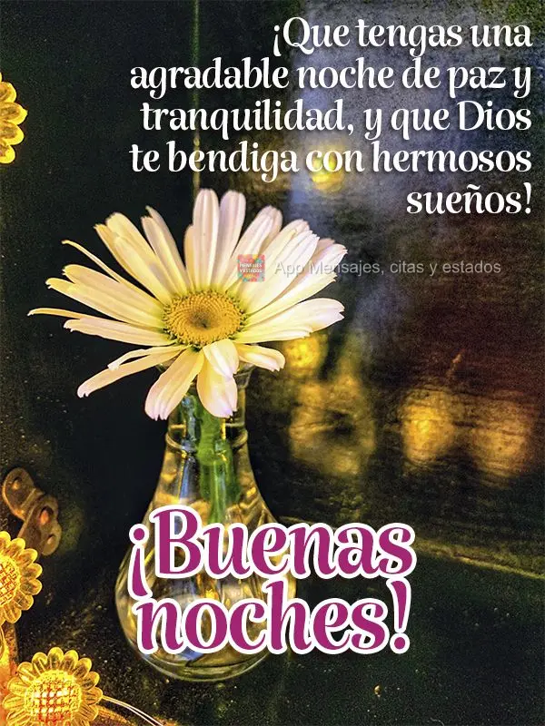 ¡Que tengas una agradable noche de paz y tranquilidad, y que Dios te bendiga con hermosos sueños! ¡Buenas noches!