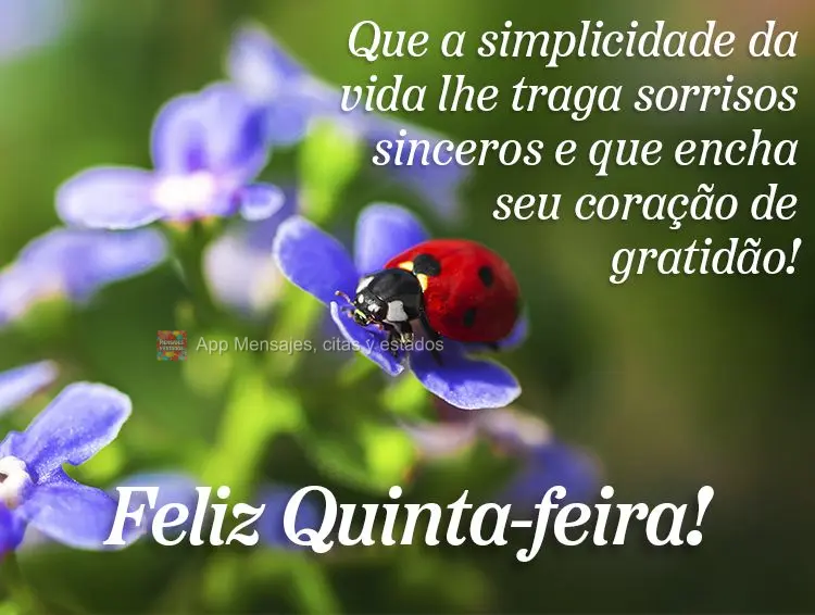 Que a simplicidade da vida lhe traga sorrisos sinceros e que encha seu coração de gratidão! Feliz Quinta-feira!