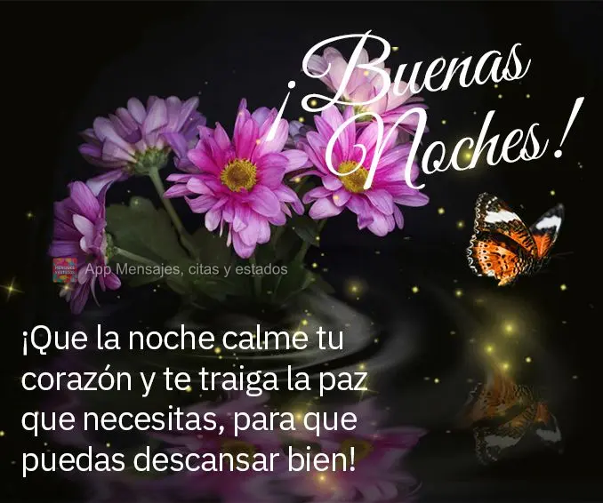 Que a noite possa acalmar o seu coração e lhe trazer a paz que precisa para que tenha um bom descanso! Boa noite!