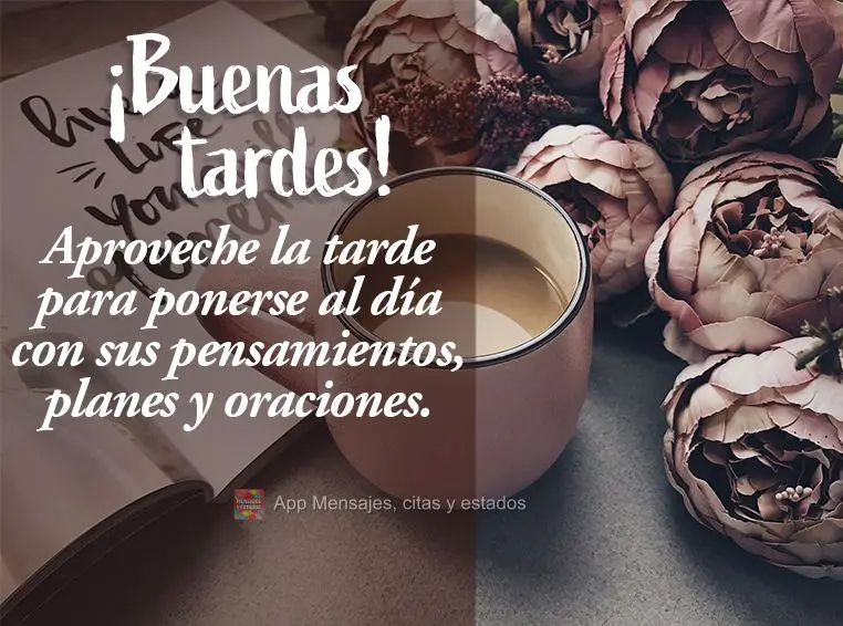 Aproveite a sua tarde para colocar em dia os seus pensamentos, os seus planos e as suas orações. Boa tarde!