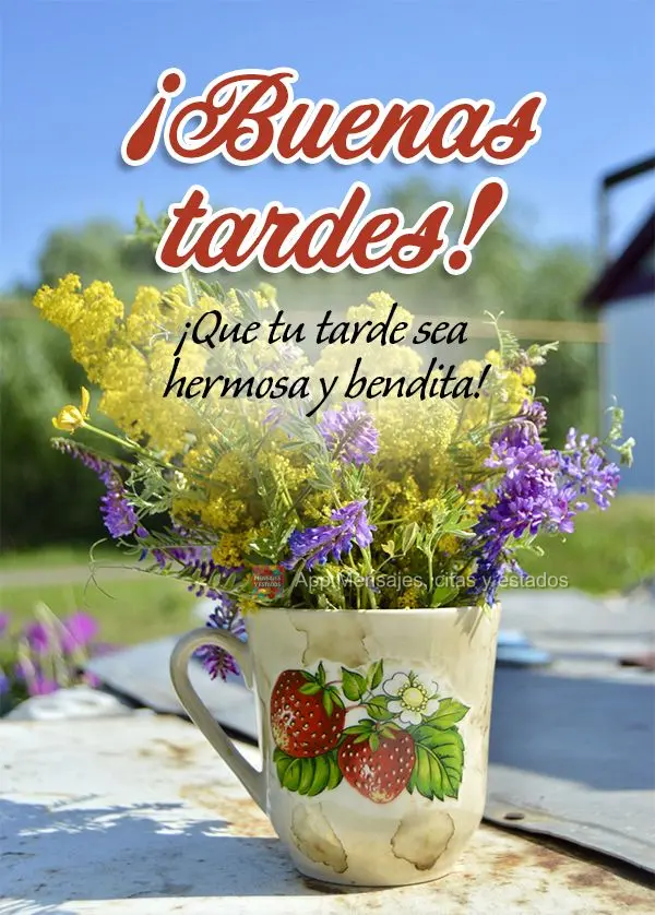 Que seja bela e abençoada a sua tarde! Boa tarde!