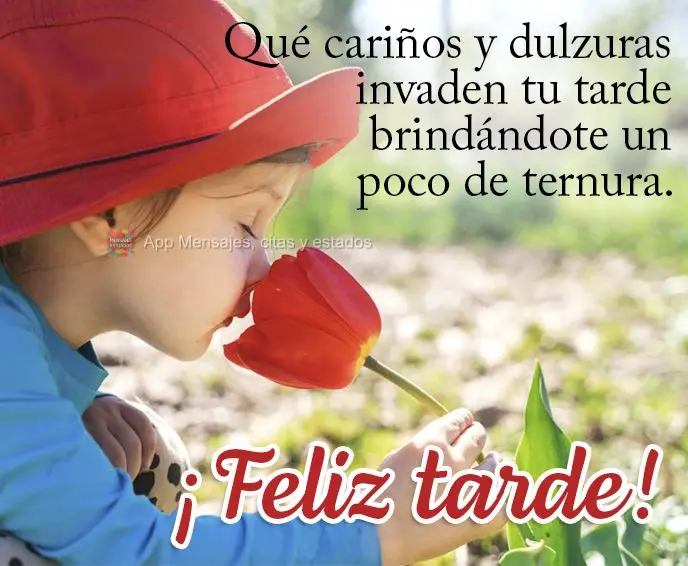 Que os carinhos e a doçura invada a sua tarde lhe trazendo um pouco de ternura.  Feliz tarde!