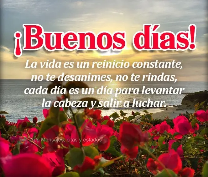 A vida é um constante recomeço. Não desanime, não desista, todo dia é dia de erguer a cabeça e ir à luta. Bom dia!