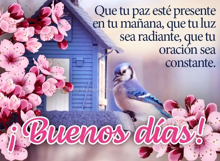 Que tua paz esteja presente em sua manhã, que tua luz seja radiante, que tua oração seja constante. Bom dia!