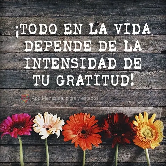¡Todo en la vida depende de la intensidad de tu gratitud!