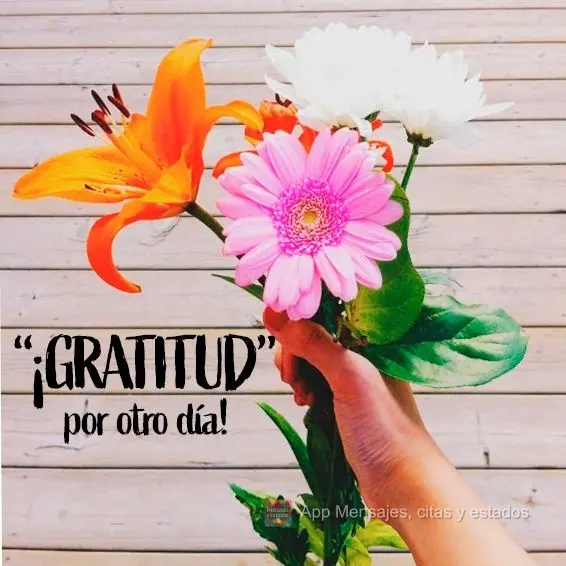 ¡Gratitud por otro día!