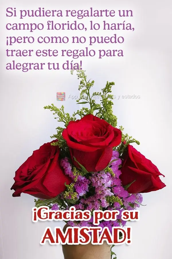 Si pudiera regalarte un campo florido, lo haría, ¡pero como no puedo traer este regalo para alegrar tu día! ¡Gracias por su amistad!