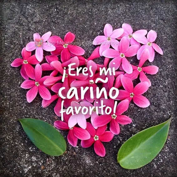 ¡Eres mi cariño favorito!