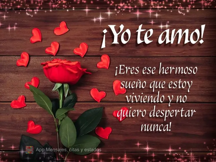 ¡Eres ese hermoso sueño que estoy viviendo y no quiero despertar nunca! ¡Yo te amo!