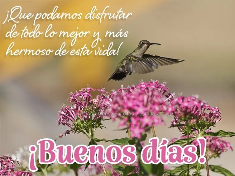 Que a gente possa aproveitar tudo o que há de melhor e mais bonito nesta vida! Bom dia!