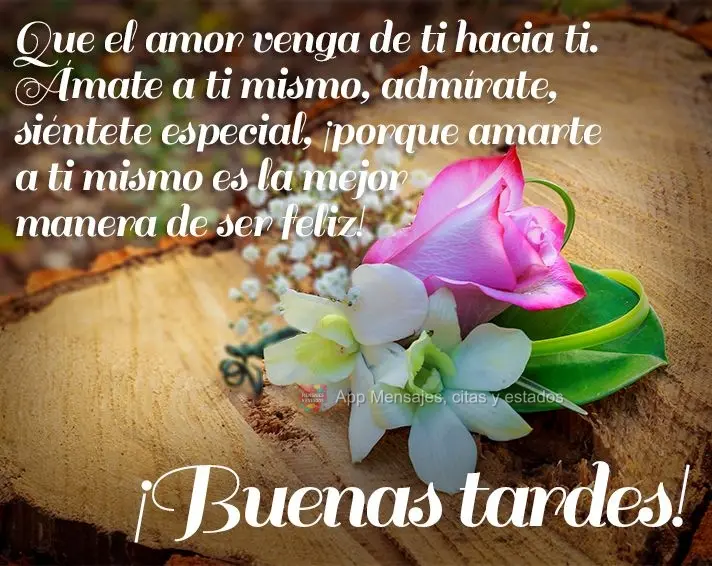 Que o amor venha de você para você. Se ame, se admire, se sinta especial, porque amar a si próprio é a melhor forma de ser feliz! Boa tarde!