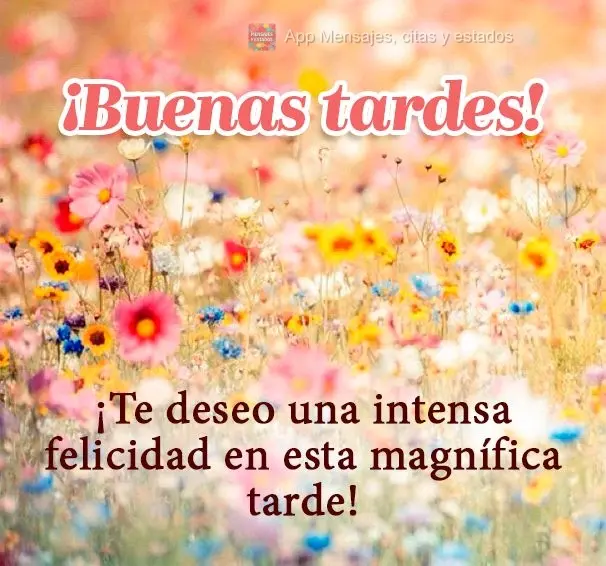 ¡Te deseo una intensa felicidad en esta magnífica tarde! ¡Buenas tardes!